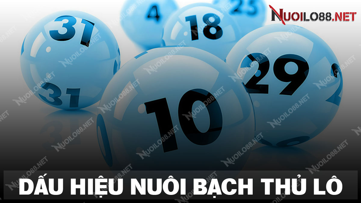 Bí quyết soi cầu và dự đoán Bạch thủ miền Bắc hôm nay hiệu quả nhất